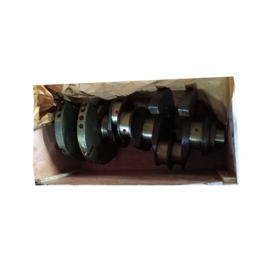 High qulity factory forging steel crankshaft for OM501 3660301602