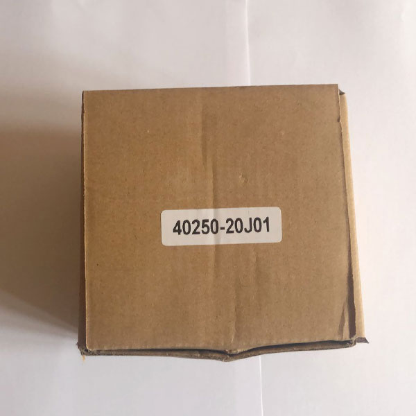 40250-20J01